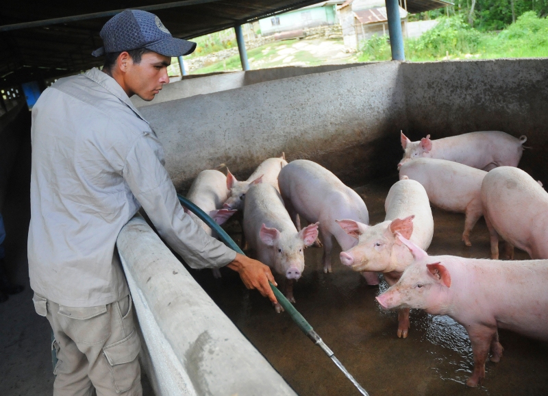 algo más que café 3
