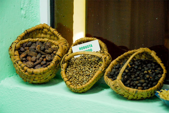 cafe de guantanamo 3