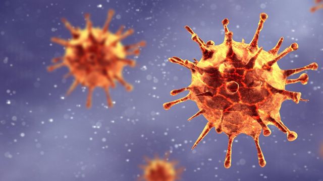 coronavirus BBC