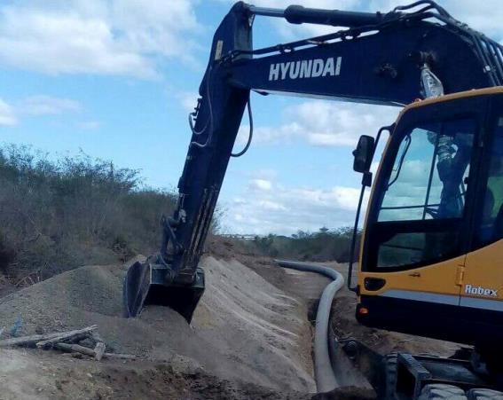 Conductora Jaibo Bano