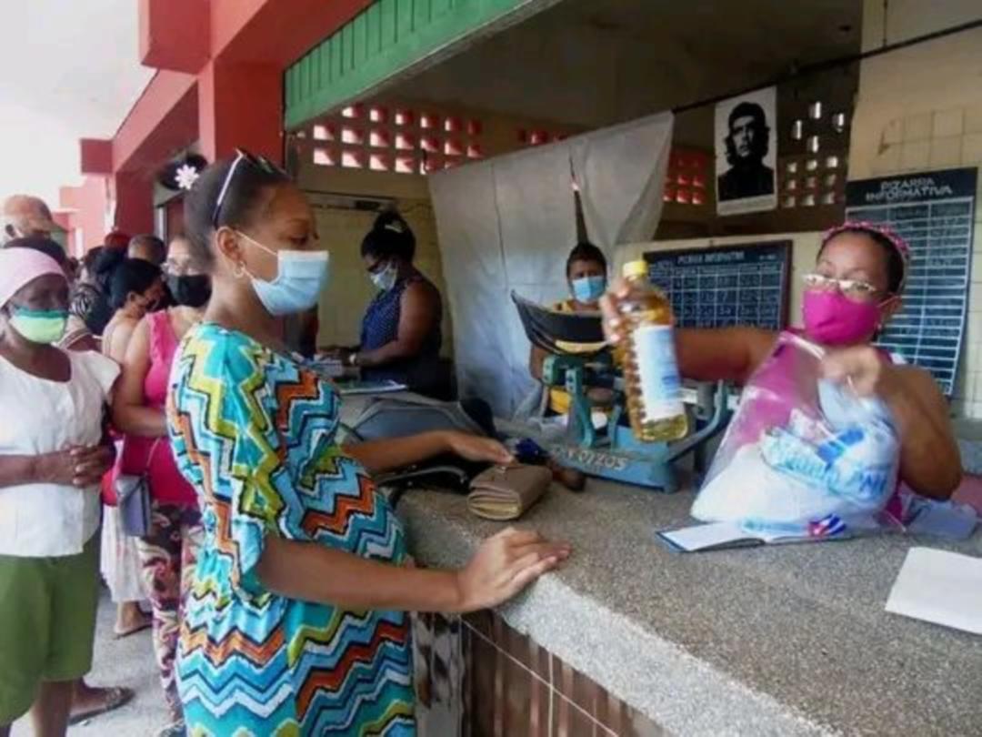 0404 modulos alimentos bell