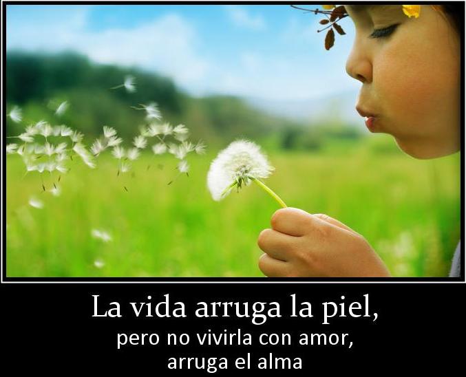 contigo jorge bucay