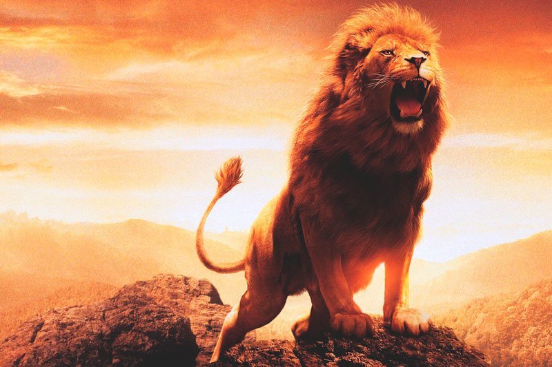 donde vive el leon