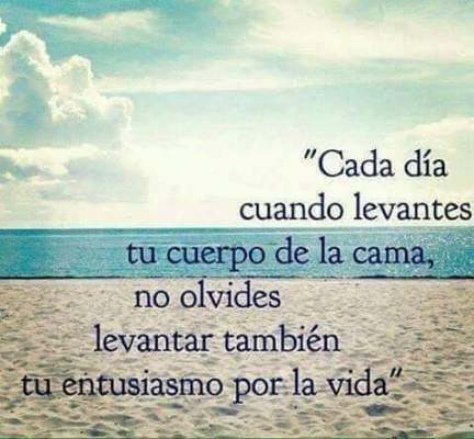 frase bonita