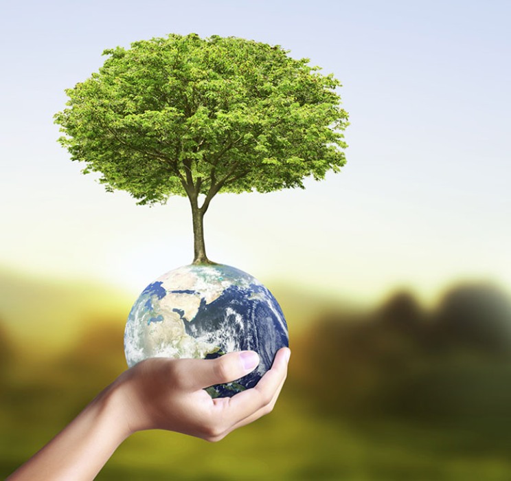 medio ambiente
