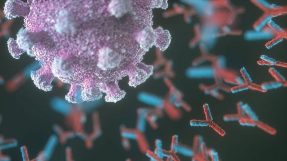 covid virus 580x326