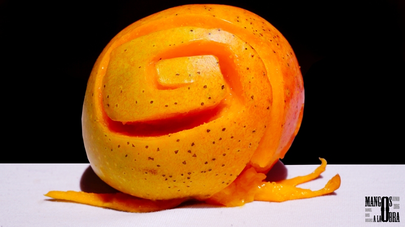 01 Mango de paseo