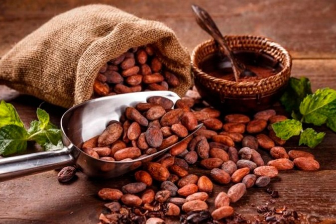 cacao Fino de Aroma