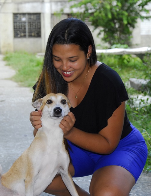 Bienestar animal Guantánamo 2