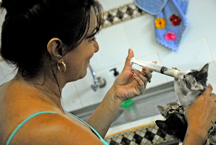 Bienestar animal Guantánamo 3