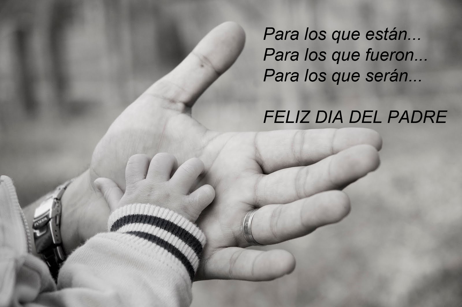 1 feliz-día-del-padre