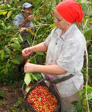 Eta en Guantánamo 3