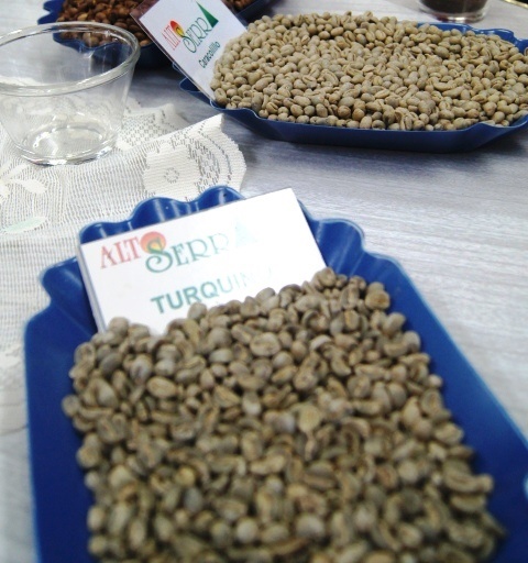 altoserra