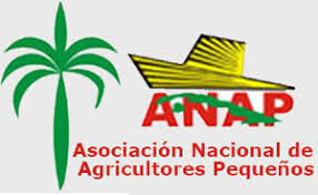 anap logo