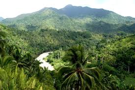 bosque guantanamo
