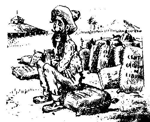 liborio
