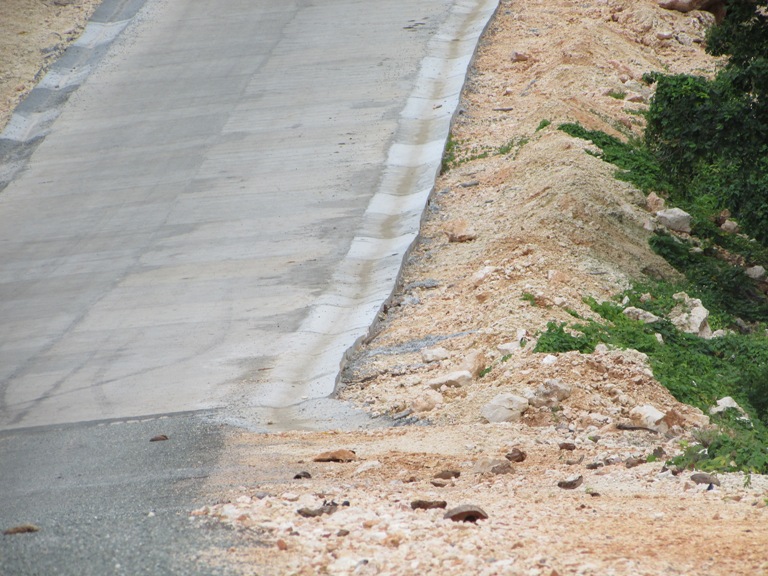 maisi vial arreglos3