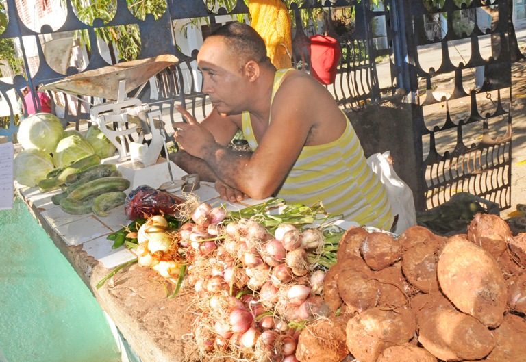 mercado productosagricolas
