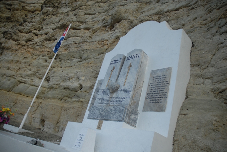 movimiento juvenil martiano entrevista