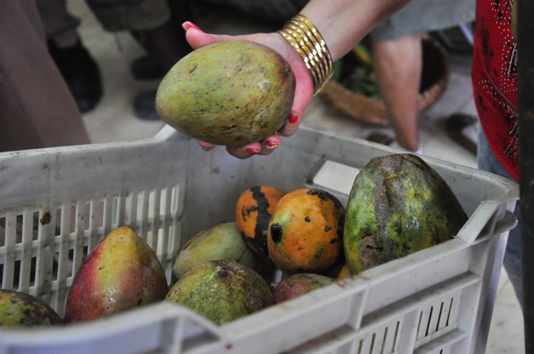 proteccion al consumidor gtmo