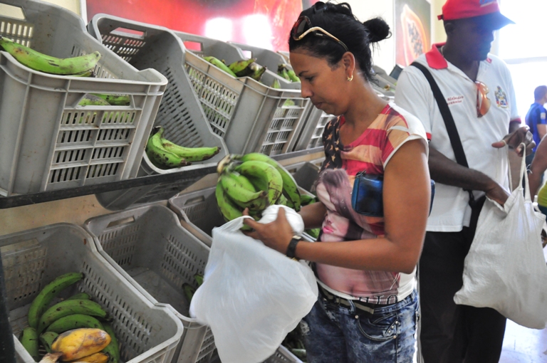 proteccion al consumidor gtmo2