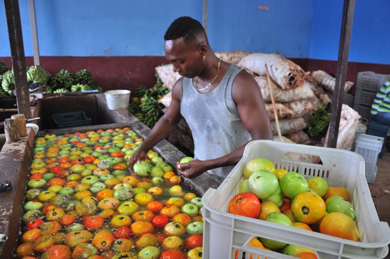 proteccion al consumidor gtmo3