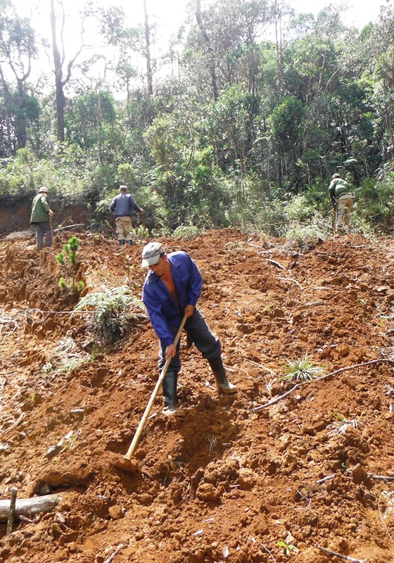 trocha cortafuegos pnah