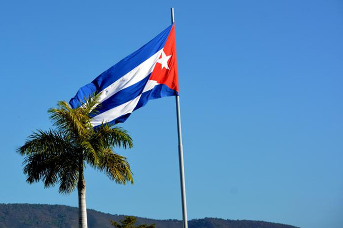 0 23 palma bandera cubana