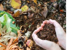 Screenshot 2025 12 14 at 00 41 05 Venceremos 12 12 2025.pdf