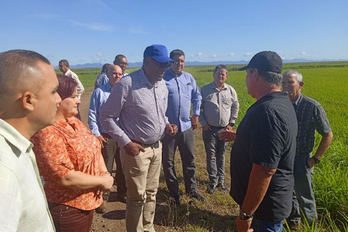 0 09 valdes mesa pinar del rio 2