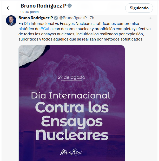 Sin título 4