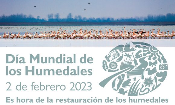 Dia Mundial Humedales Mensaje 580x348