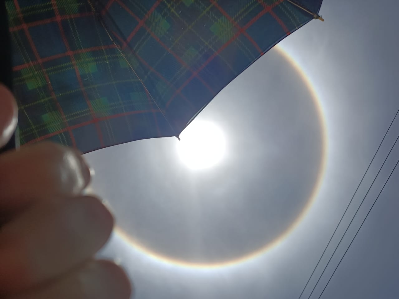 halo solar