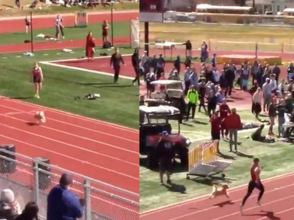 carrera d perrito 580x435