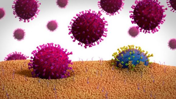 corronavirus 580x326