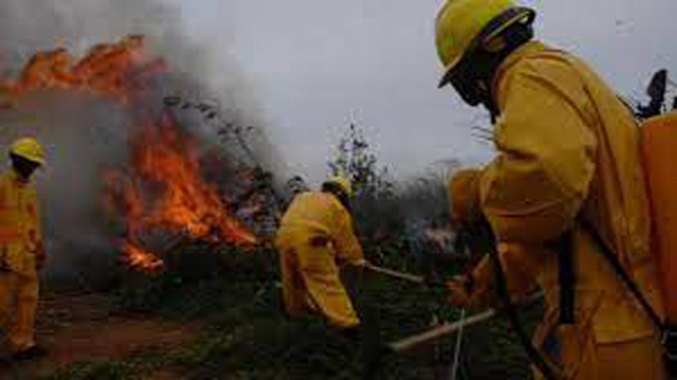 1incendios