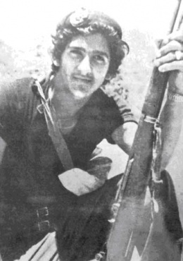 Manuel tames