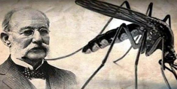 mosquito 580x293