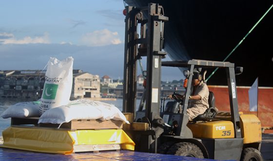 arroz-pakistan-puerto-4-560x331