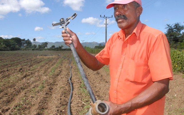 agricultura insumos3