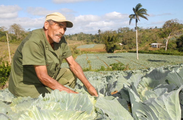 alimentos produccion yateras