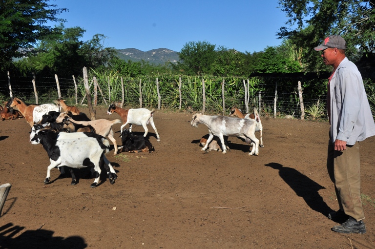 alimentos valle3