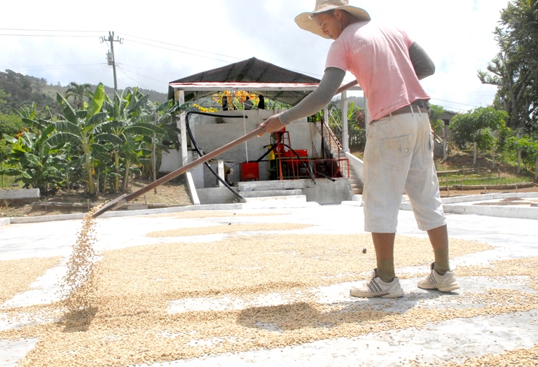 despulpadora ecologica motañas2