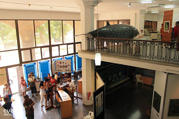 Museo-de-Historia-Natural-de-La-Habana