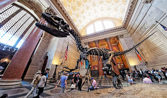 Museo-de-Historia-Natural-de-Nueva-York