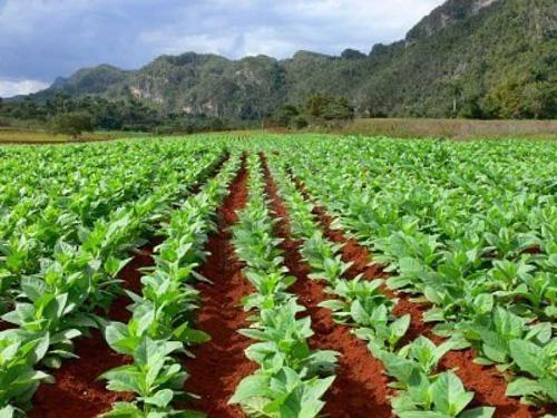 agricultura bloqueo