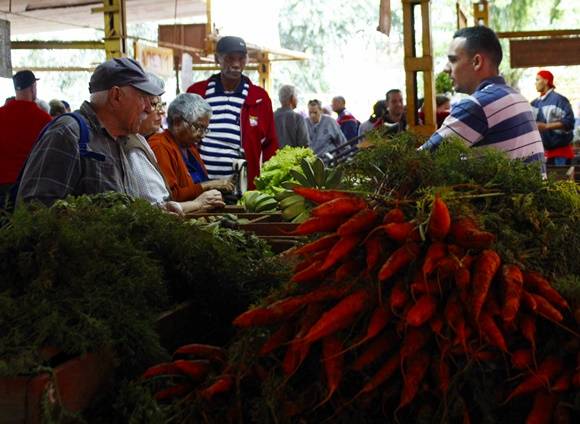 agromercado Tulipán y Panorama3