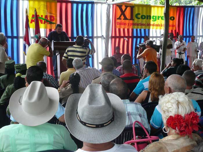 anap convocatoria congreso