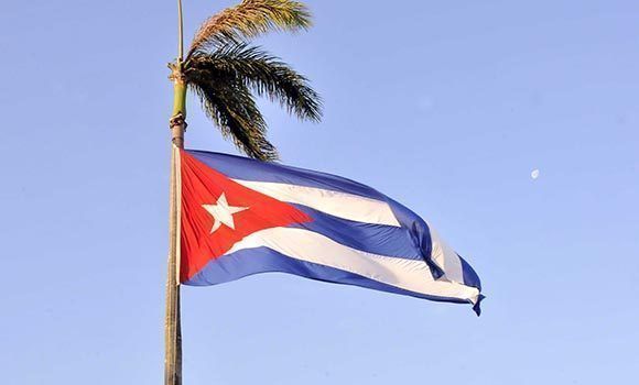 bandera cubana palma ondea