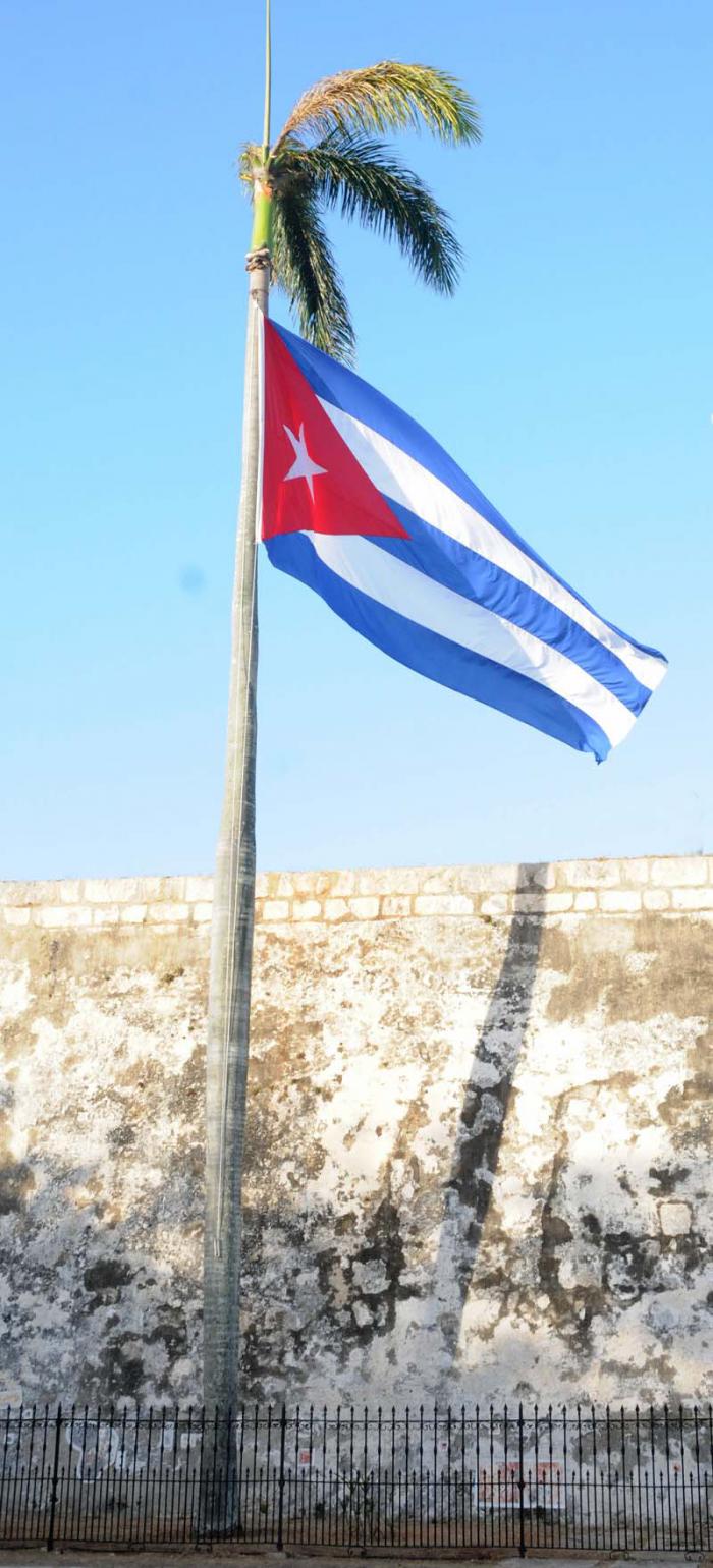 bandera palma